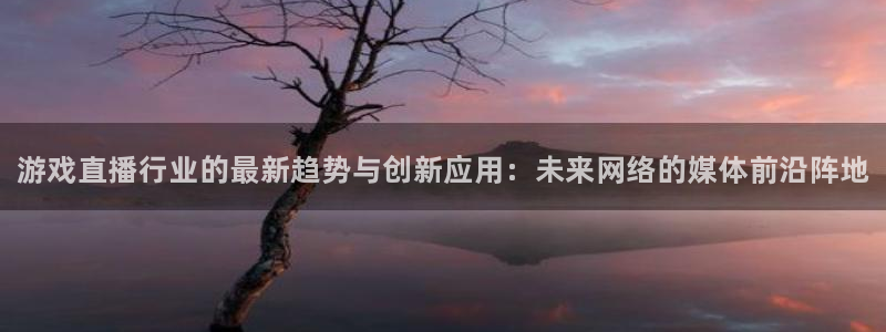 优贝娱乐平台登录线路：游戏直播行业的最新趋势与创新应用：未来