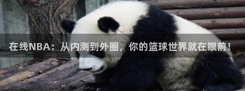 直播吧在线直播nba