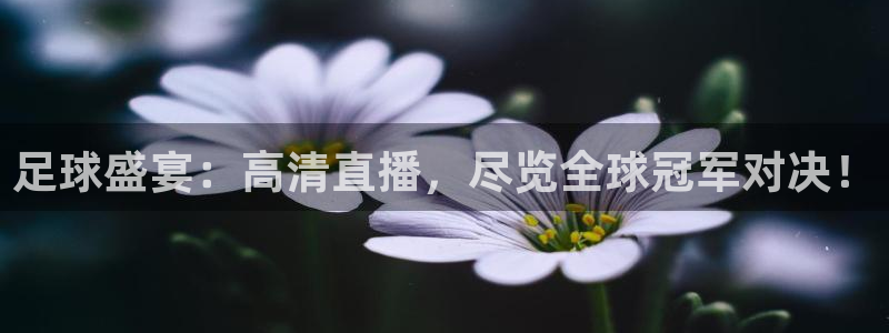nba篮球直播吧：足球盛宴：高清直播，尽览全球冠军对决！