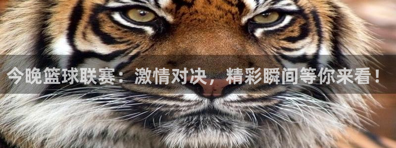 51体育jrs直播吧