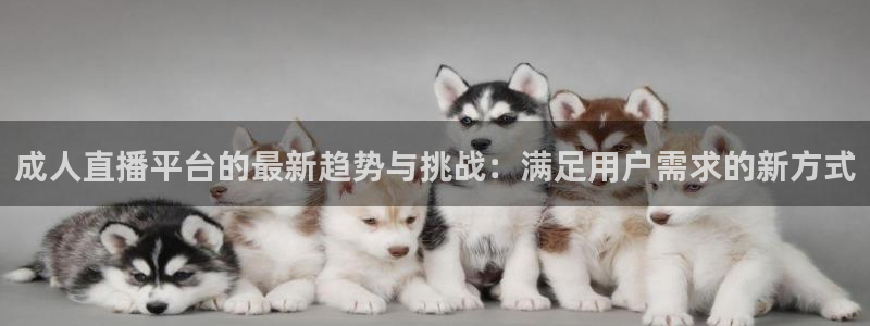 006直播吧nba：成人直播平台的最新趋势与挑战：满足用户需求的新方式