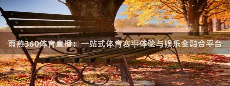 乐球免费直播吧：雨燕360体育直播：一站式体育赛事体验与娱乐全融合平台