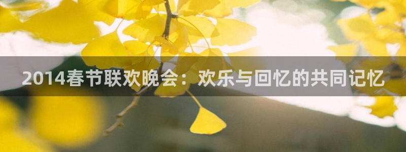 nba直播吧无插件版jrs：2014春节联欢晚会：欢乐与回忆的共同记忆