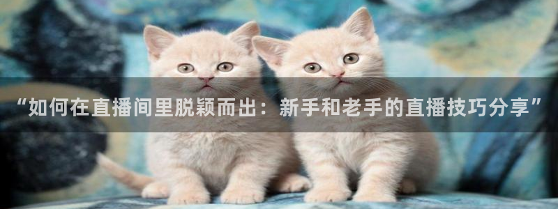 乐球吧足球直播吧nba直播jrs直播：“如何在直播间里脱颖而出：新手和老手的直播技巧分享”