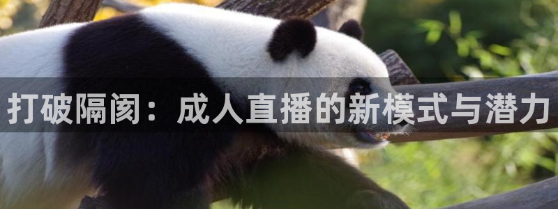 快鱼直播吧：打破隔阂：成人直播的新模式与潜力